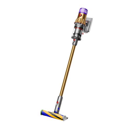 Dyson V12 Detect Slim Fluffy SV20 FF | eclipseseal.com