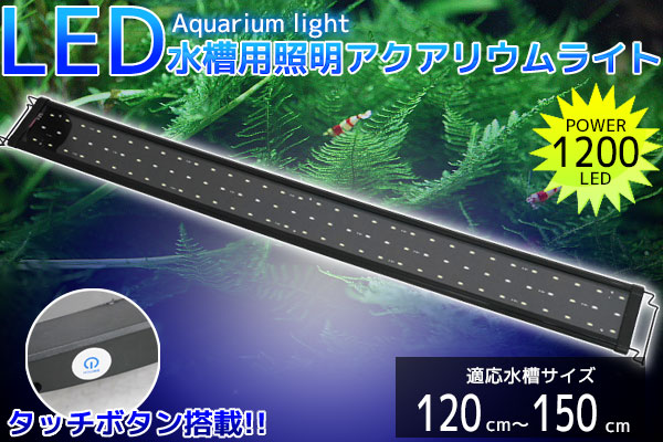 楽天市場 コトブキ レイマックス10 リモコン付き 水槽用 照明 Ledライト 1cm 海水淡水用 Raymax10 株式会社ディスカウントアクア