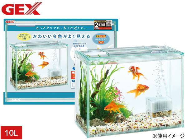 楽天市場】GEX メダカ元気 メダカのための水槽セット300 熱帯魚