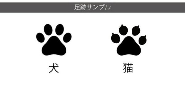 当店一番人気】 ペットのおはか お墓 六角 Mサイズ 屋内 屋外 納骨可能 ペットコティ Petcoti 名入れ 刻印 ペット 供養 犬 猫 小動物  送料無料 fucoa.cl