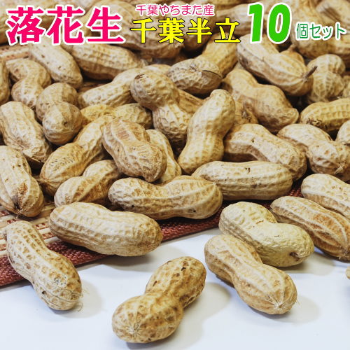 2024年産 新豆<br> から付 落花生 「千葉半立」<br>１０個セット<br>千葉 やちまた 産<br>ピーナツ<br>おつまみ<br>【送料無料】<br>