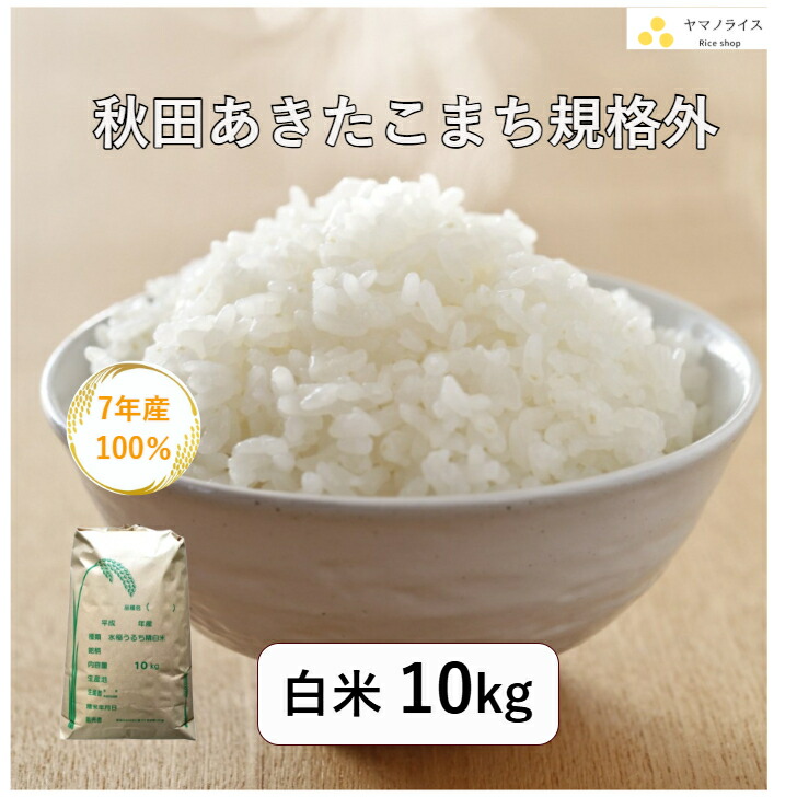 新米 令和8年産 高知県産 コシヒカリ 10kg