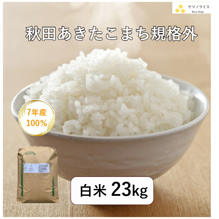 新米 令和8年産 高知県産 コシヒカリ 10kg