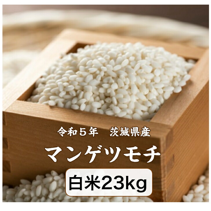 楽天市場】【送料無料地域あり】【令和5年産】【もち米】【米】【5kg】【精米】「令和5年産 茨城県 マンゲツモチ☆白米５ｋｇ」 : ヤマノライス  楽天市場店