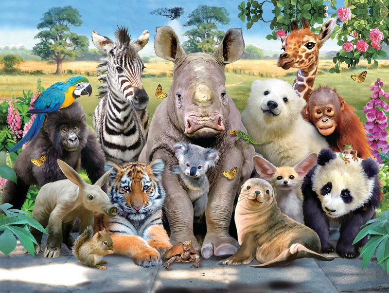 3Dパズル【野生の動物たち】500ピース