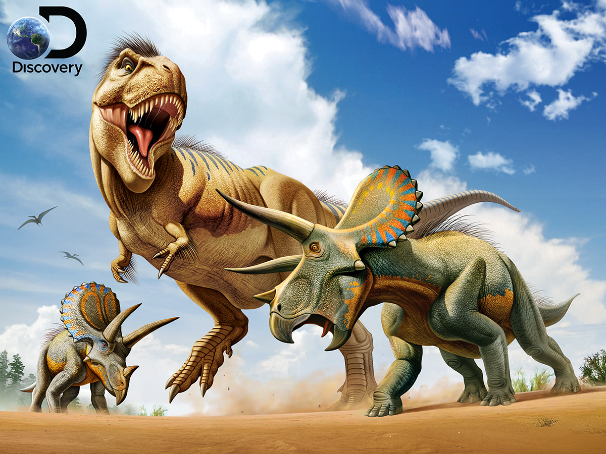 楽天市場 3d ジグソーパズル ティラノサウルスvsトリケラトプス 500ピース Discovery 恐竜 T Rex おうち時間 脳トレ プレゼント 知育玩具 戦い ３d 恐竜 おもちゃのヤマサン
