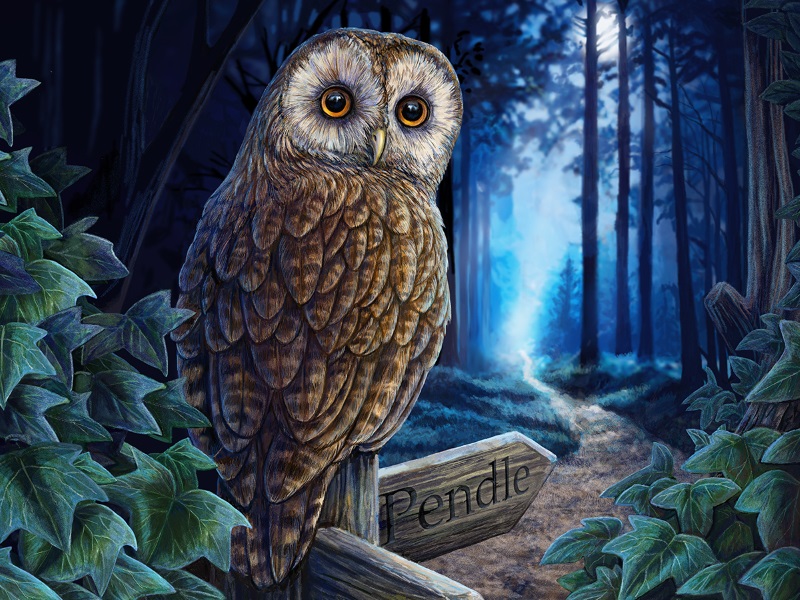 パクジロウ 楽天市場】月夜のシロフクロウ(500ピース) 6172078