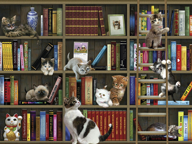 楽天市場】3D ジグソーパズル 【水玉で遊ぶ猫】500ピース LisaParker