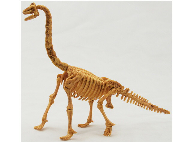 楽天市場】恐竜発掘キット【アーケオプテリクス】 化石 恐竜 骨