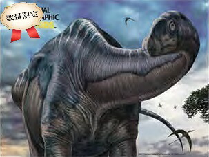 楽天市場 数量限定３ｄパズル アルゼンチノサウルス 63ピース ３d 恐竜 おもちゃのヤマサン