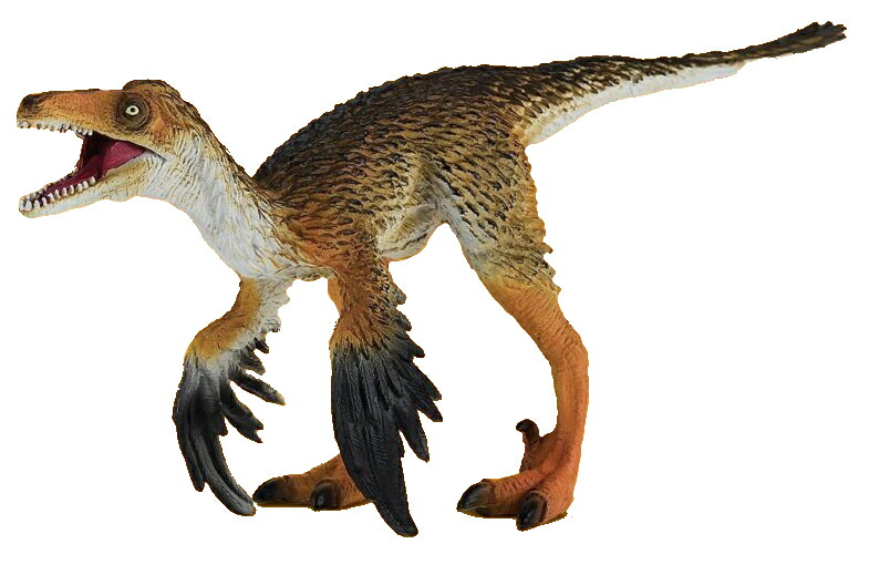 楽天市場】恐竜 フィギュア ディメトロドン おもちゃ キッズ