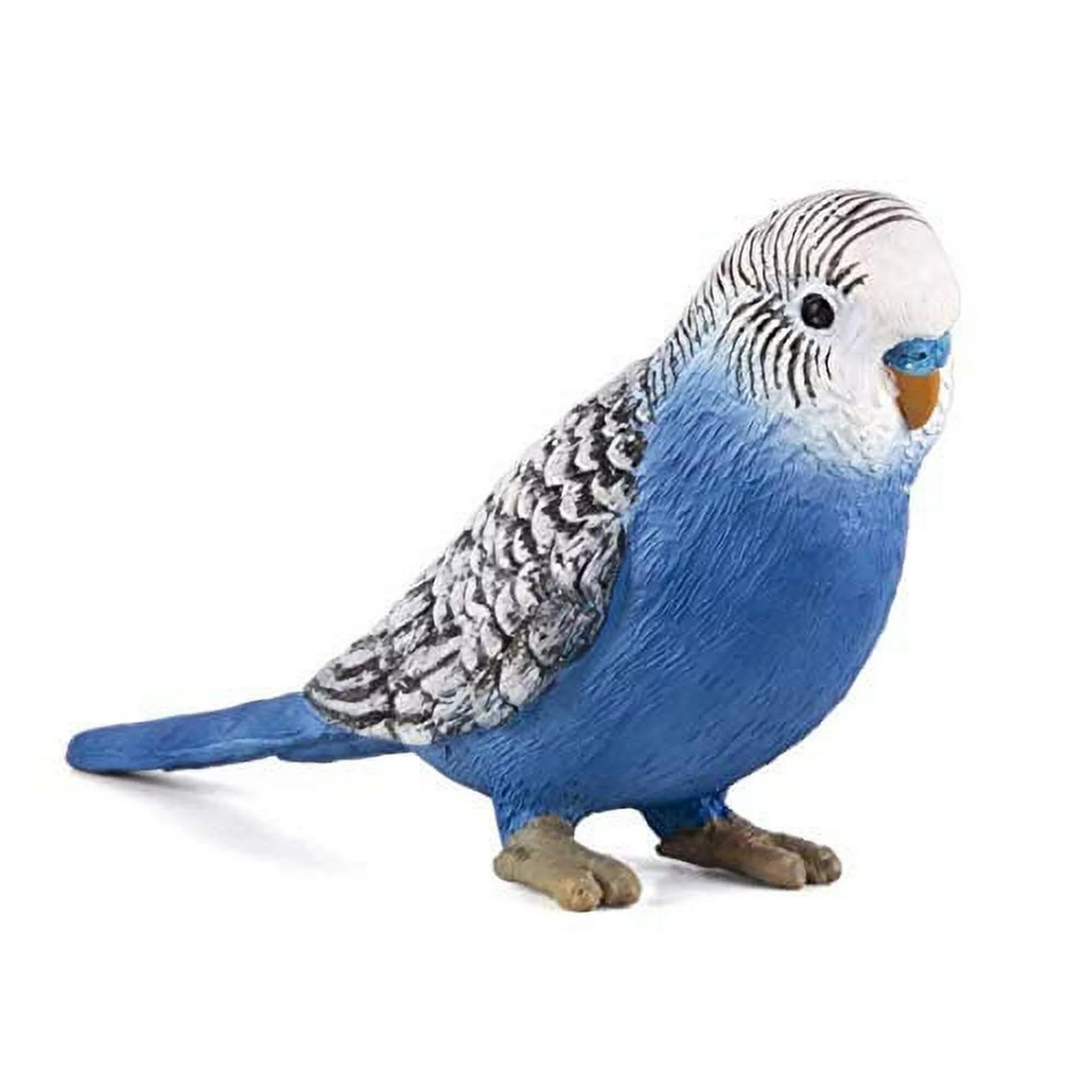 楽天市場】スミレコンゴウインコ 14859 動物 鳥 インコ