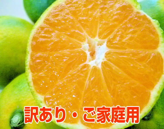 愛媛県産柑橘10キロ 楽天市場】【送料無料】訳あり愛媛みかん10kg(南柑20号)10kgM