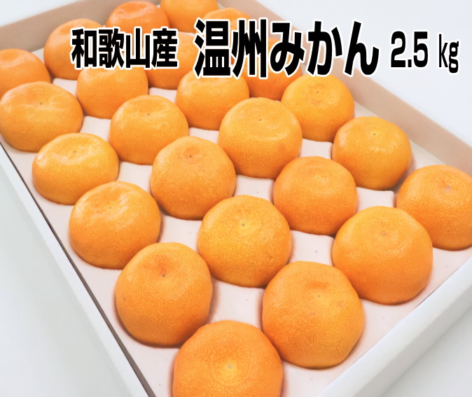 みかんさま専用ページ みかんさま専用ページ