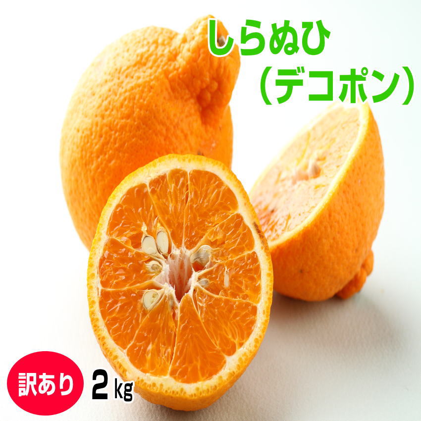 楽天市場】金柑/きんかん 3Kg【訳あり・家庭用】和歌山産 送料無料