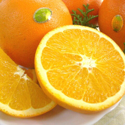 和歌山産 高級ネーブルオレンジ 5.5kg（24～27玉）送料無料