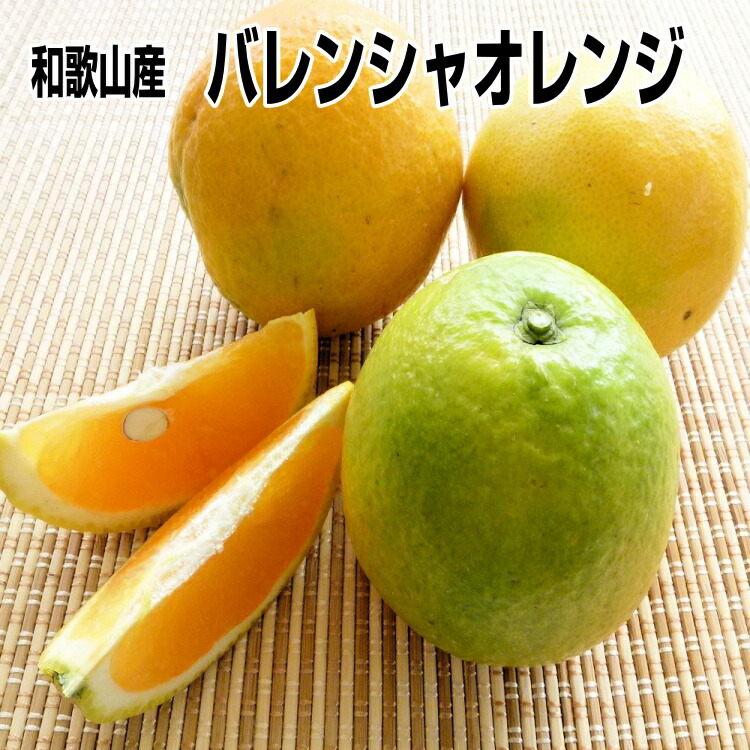 楽天市場】バレンシアオレンジ M/ Lサイズ 2kg めずらしい国産