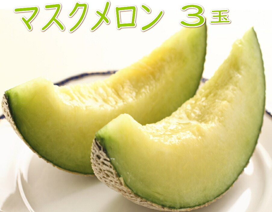 高知県産マスクメロン【家庭用】3玉 緑肉＆赤肉】ご家庭用お試しマスクメロン2玉箱入り3kg以上：高知