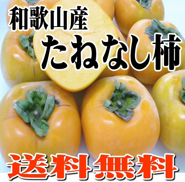 楽天市場】【送料無料】【訳あり】本場和歌山産 たねなし柿 2.3kg : 紀州 田舎の小さな八百屋さん