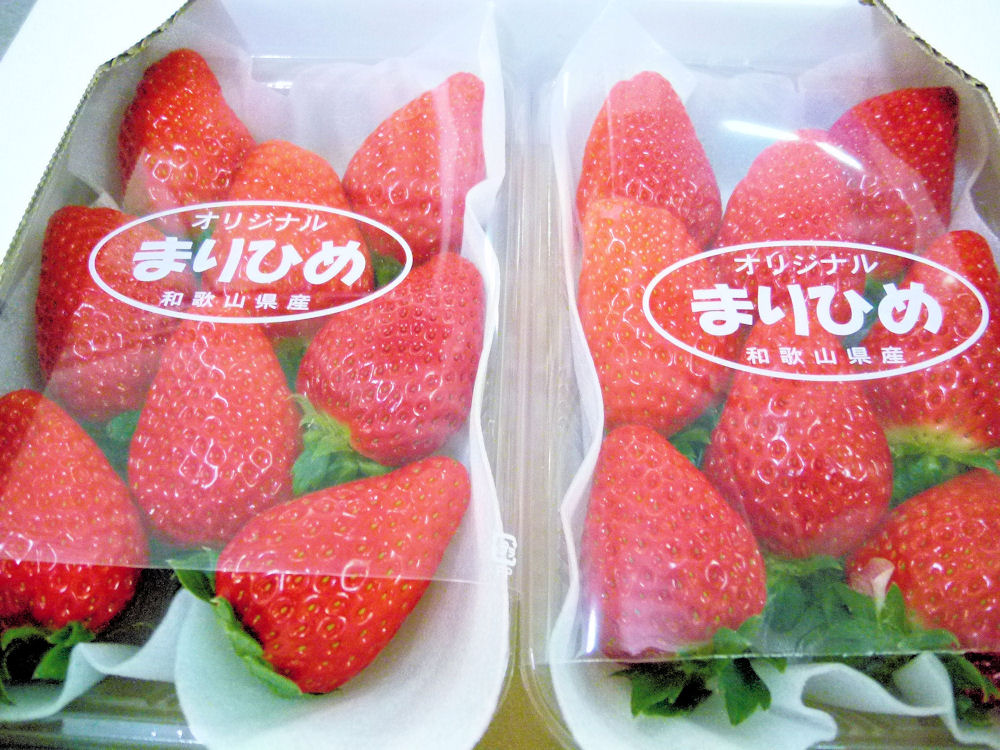 【楽天市場】【送料無料】和歌山生まれの新品種イチゴ≪まりひめ≫大粒2パック クール便無料：紀州 田舎の小さな八百屋さん