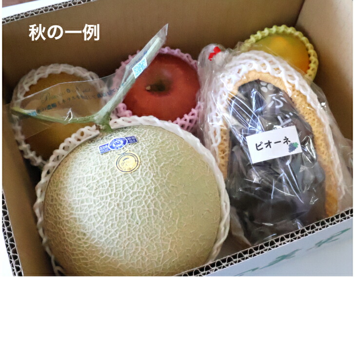 楽天市場】小玉すいか≪ひとりじめ≫Mサイズ 6玉入り 和歌山産