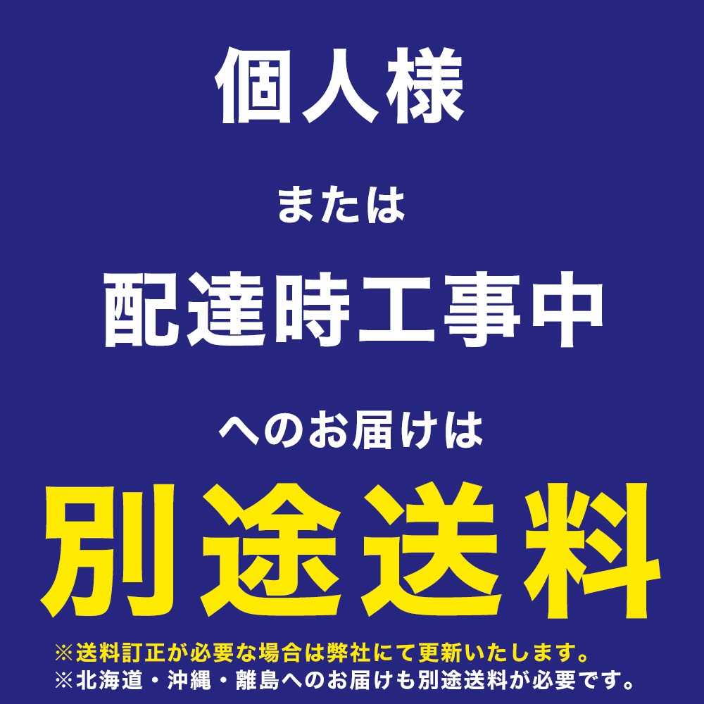 銘柄 岩中ポーク 野菜 送料無料 国産 大きい 豚肉 冷凍餃子 同梱専用 もちもち国産パクチー水餃子40個 おつまみ もちもち