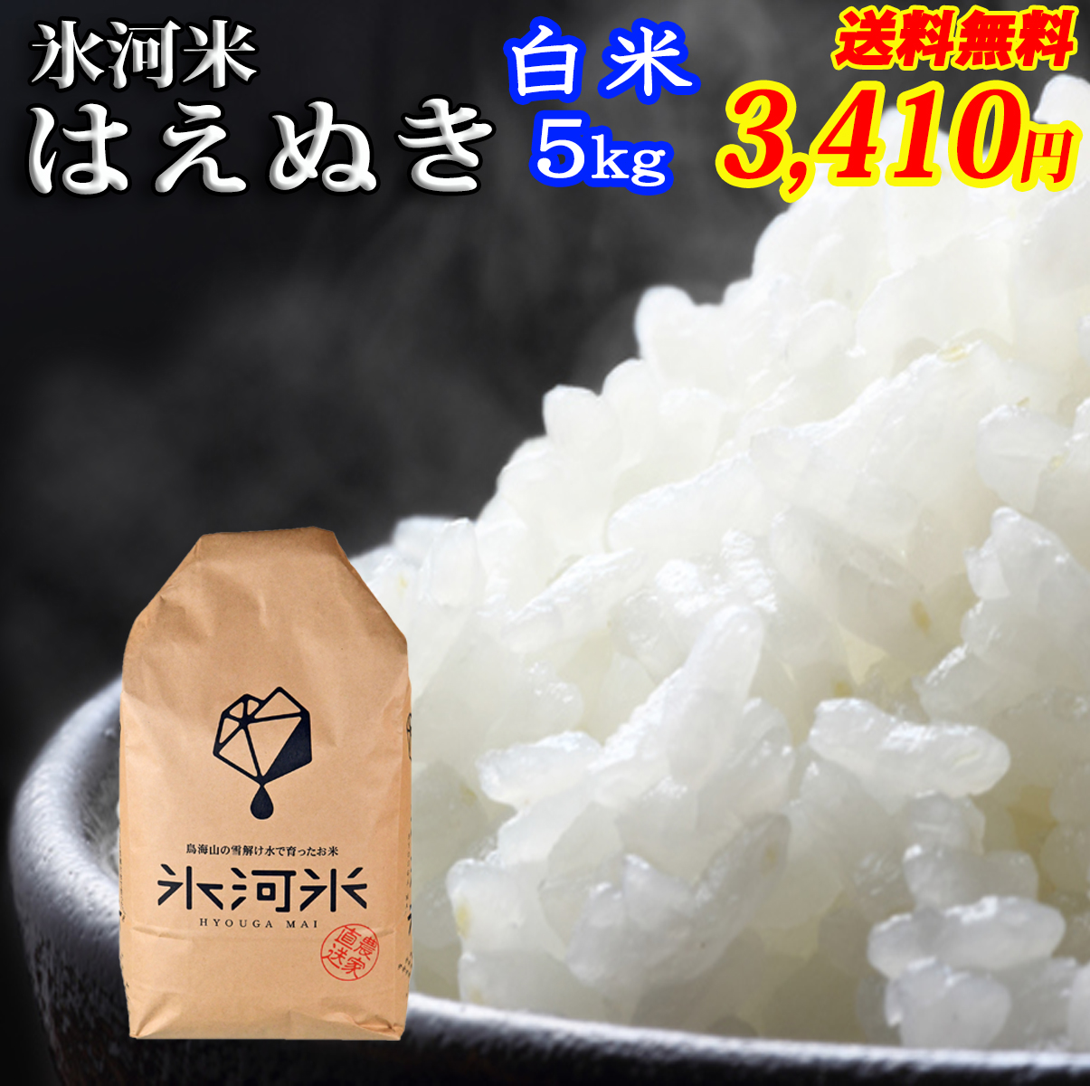 驚きの値段で ✨はえぬき✨25kg✨令和4年産✨山形県庄内産✨ ad-naturam.fr