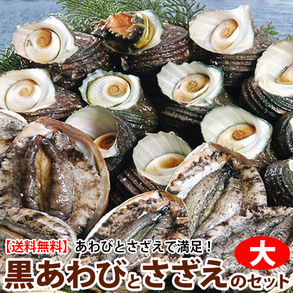 送料無料 天然黒あわびと活サザエベストセット<br>黒アワビとサザエのセットとなります<br>サザエ 大サイズ 計1kg<br>お祝い BBQ バーベキュー お返し よか鮑 黒アワビ