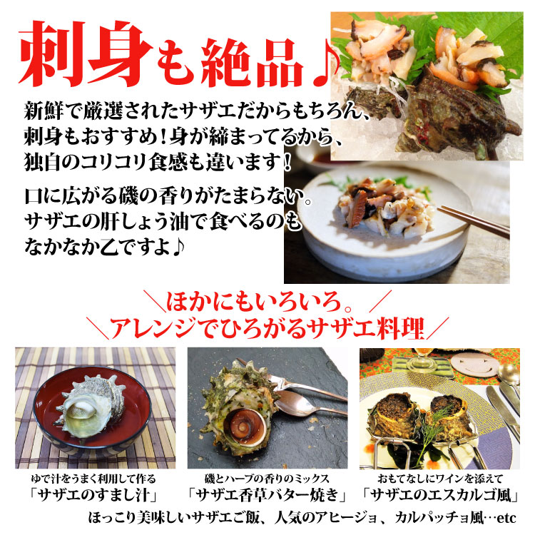 ギフト サザエ さざえ コリコリうまい 簡単レシピ付 大サイズ計500g 長崎県の大自然で育ったから栄養満点 4 5個前後