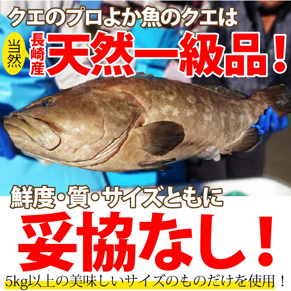 独創的 ギフト 天然クエと満腹地魚鍋セット 3人前 2 幻の高級魚クエ300ｇ に 漁師一押し地魚2種計400ｇ をクエだしの素で味わうボリューム満点の海鮮鍋 すり身 長崎ちゃんぽん麺入り レシピ付 長崎 九州 海鮮鍋 くえ 新着 Midasentertainments Com