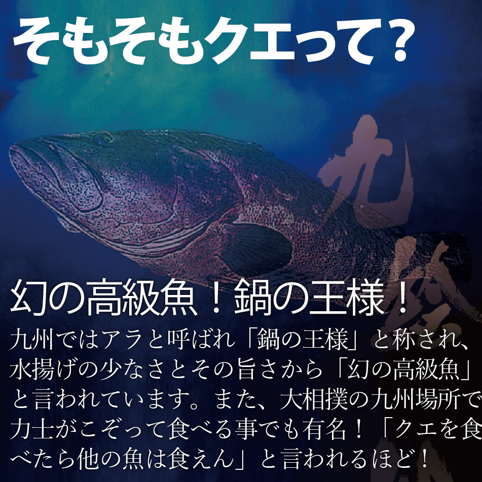 独創的 ギフト 天然クエと満腹地魚鍋セット 3人前 2 幻の高級魚クエ300ｇ に 漁師一押し地魚2種計400ｇ をクエだしの素で味わうボリューム満点の海鮮鍋 すり身 長崎ちゃんぽん麺入り レシピ付 長崎 九州 海鮮鍋 くえ 新着 Midasentertainments Com