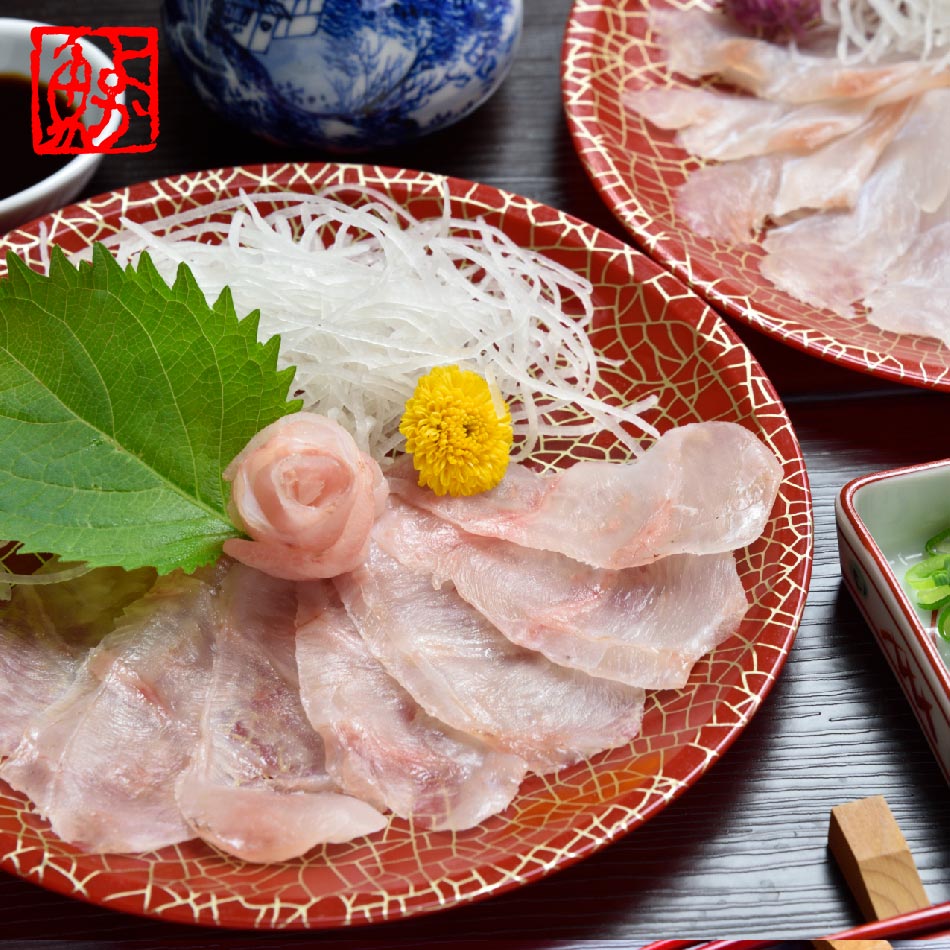 父の日 ギフト 長崎産天然クエ刺身食べ比べ（大トロ・中トロ・本身・クエだし醤油付き）<br>クエ kue クエ刺身 クエ刺し クエ刺 長崎産 天然 クエ グルメ お祝い プロトン 高級 幻の高級魚 くえ クエ鍋のよか魚 刺身