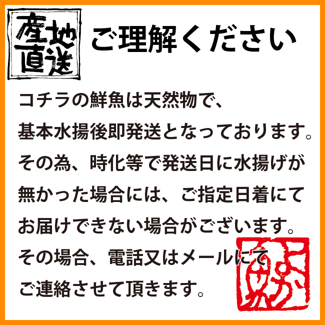 楽天市場 イトヨリ いとより 計1 0kg前後 300 500g前後サイズ 五島灘で獲れた上品な味わいのイトヨリダイ九十九島鮮魚 海と山の旬鮮産直よか魚ドットコム