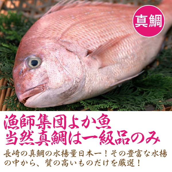 ギフト 九十九島幻のクエだし御飯 クエ 真鯛 計2袋 計6合分 鯛飯 鯛めし クエ飯 クエめし 炊き込みご飯 送料込み 贈答 お祝い 誕生日 クエだしめし Kanal9tv Com