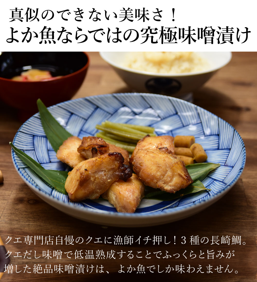 クエと長崎鯛のクエだし味噌漬け詰合せ クエ 真鯛 黒コショウ鯛 なべ鯛 父様の日日 おお祭り お取り寄せ食い道楽 付け届け 贈呈品 割増し 長崎の小さな離島の蜑団塊 クエ專門店鋪のイメージのクエだし味噌 Damienrice Com