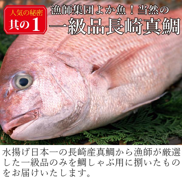 礼物 あした容易 貨物輸送無料クエ煮汁で毒見 九十九アイランドよかタイしゃぶ詰合せ 3 4人格正面スーヴェニア お慶典 生れでる時代 鯛しゃぶ 真鯛 しゃぶしゃぶ 平鍋 よか魚族金銭ゲイン よかmdギフト Daemlu Cl