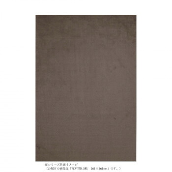 【代引き・同梱不可】 P-2000高機能カーペット　抗菌防ダニ消臭防音抗アレルゲン抗ウィルス床暖対応 ブラウン 江戸間4.5帖261×261