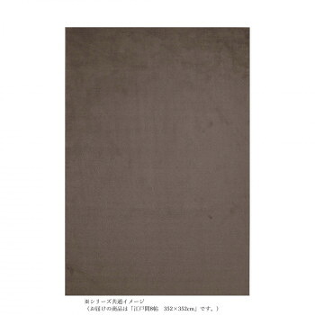 【代引き・同梱不可】 P-2000　高機能カーペット　抗菌防ダニ消臭防音抗アレルゲン抗ウィルス床暖対応 ブラウン 江戸間8帖　352×352