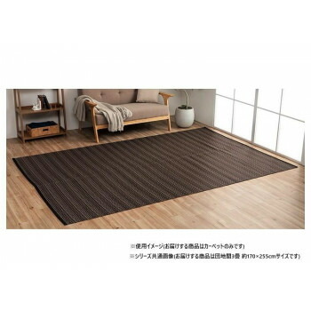 【同梱不可】 日本製 洗えるい草調カーペット ブラウン 団地間3畳 約170×255cm 1090031060302