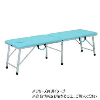 【代引き・同梱不可】 高田ベッド製作所 有孔ムーブベッド (折りたたみ式ポータブルベッド) 幅50×長さ180×高さ55cm スカイブルー TB-1007U