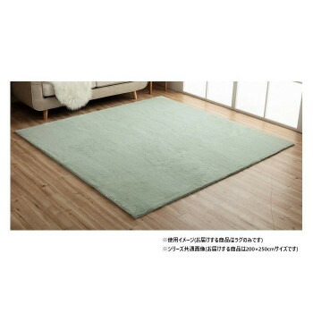 【同梱不可】 ラグマット 約3畳 「ラピアス」 200×250cm PGN ピスタチオグリーン 1280311121303