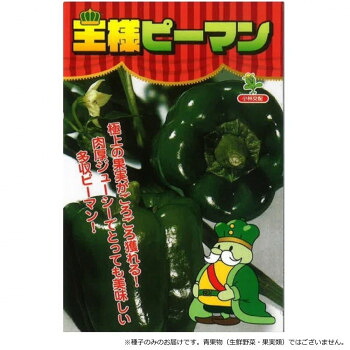 【代引き・同梱不可】 小林種苗 ピーマン種子 王様ピーマン(グリーン500号)　7218　20ml