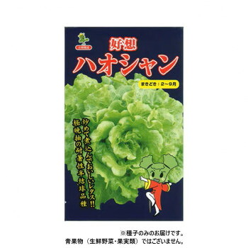 【代引き・同梱不可】 小林種苗 レタス種子 ハオシャン (好想)　5424　コートL5000粒