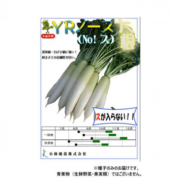 【代引き・同梱不可】 小林種苗 ダイコン種子 YRノース　12　2dl