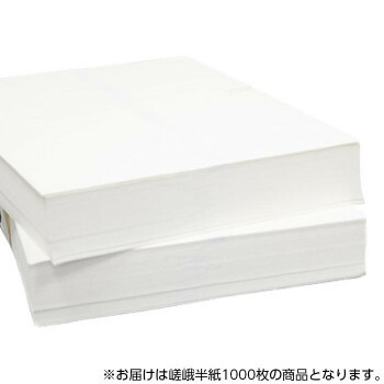 書道紙 栗成 嵯峨 半紙1000枚 Db0101 Butlerchimneys Com