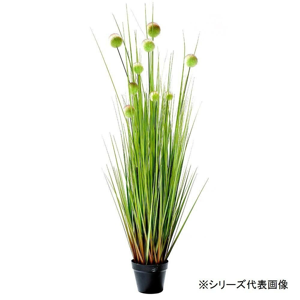 Sale 92 Off 人工観葉植物 ボールグラス M 約122cm Fucoa Cl Sale 92 Off 人工観葉植物 ボールグラス M 約122cm Fucoa Cl