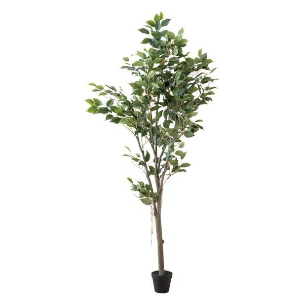 在庫あり ガーデニング 花 植物 ｄｉｙ フィカスツリー 人工観葉植物 Agriconseils Jinukun Com