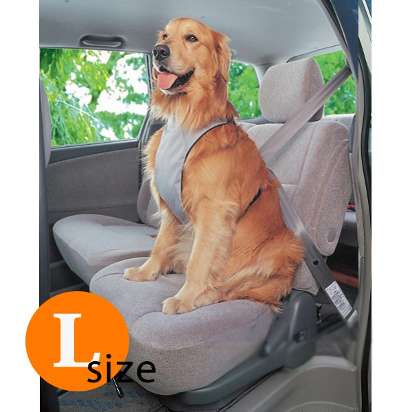 楽天市場 ペットセーフティハーネスドライブボックス Pdh L グレー シートベルト アイリスオーヤマ ゴールデンレトリバー ラブラドールレトリバー ブルテリア シベリアンハスキー等の 型犬 Anzudog あんずドッグ