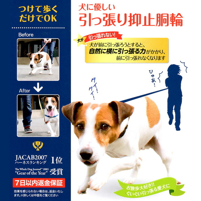 楽天市場】【犬服】犬に優しい 引っ張り抑止胴輪 ＸＳ 赤 犬用品 ドッググッズ ハーネス：ANZUDOG／あんずドッグ
