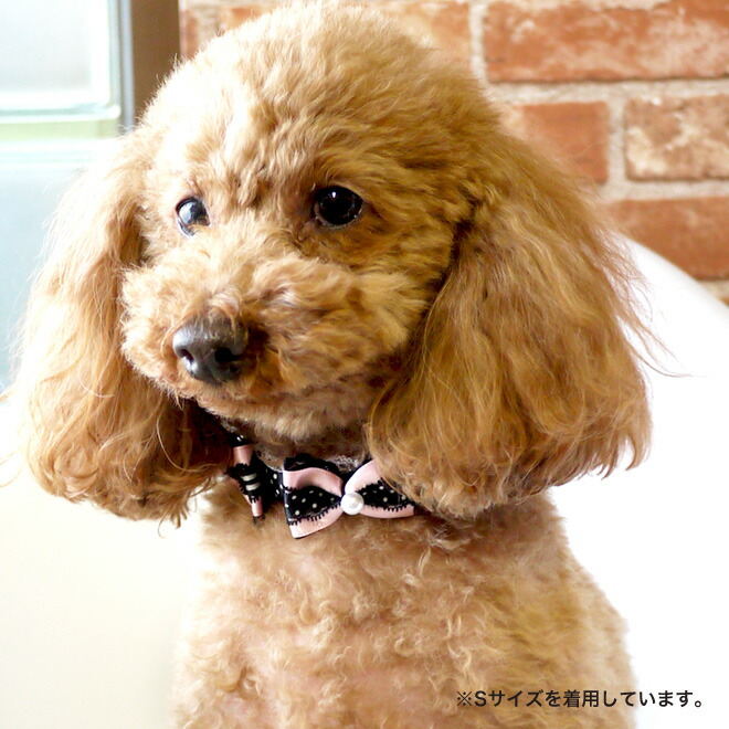 【犬・カラー・首輪】 ふたつリボンの水玉カラー SS 首輪 Luludoll(ルルドール)dk194 日本製】ドッグウェア キャットウェア 小型犬 【犬・カラー・首輪】 ふたつリボンの水玉カラー SS 首輪 Luludoll(ルルドール)dk194 日本製】ドッグウェア キャットウェア 小型犬